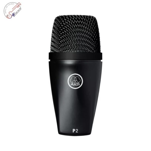 AKG P2 Dynamic Instrument Microphone