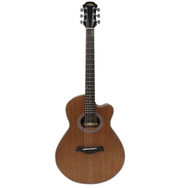 Aria FET-M2 Acoustic Guitar