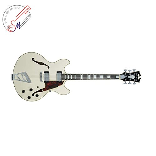 D'Angelico 6 String Semi-Hollow-Body Electric Guitar DAPDCCMPCTCB