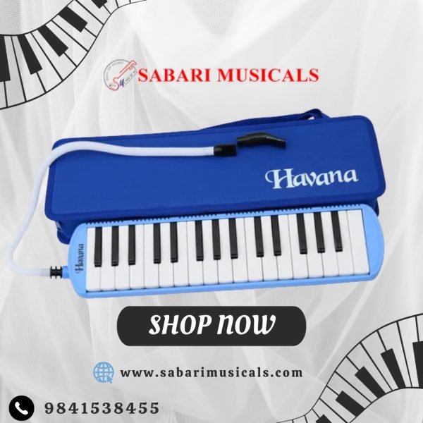 Havana Melodica Set Blue Color With Case Sold by Sabarimusicals(37keys)