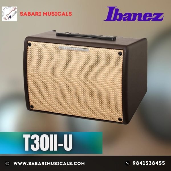Ibanez Troubadour T30II 30-Watt 1x8" Acoustic Guitar Amplifier