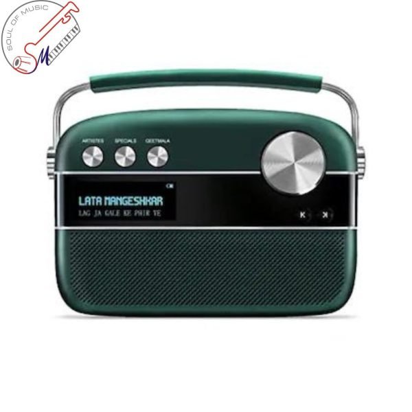 Saregama Carvaan Premium Hindi(Emerald Green)