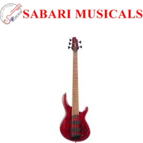 Cort B5 Element 5-Strings Bass Guitar