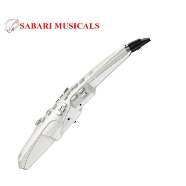 Roland Aerophone AE-10 Digital Wind Instrument - Silver
