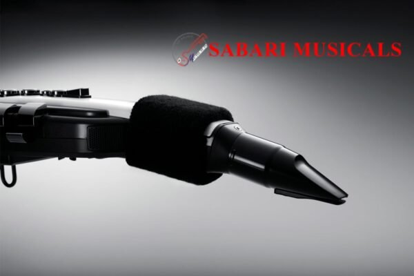 Roland Aerophone AE-20 Digital Wind Instrument
