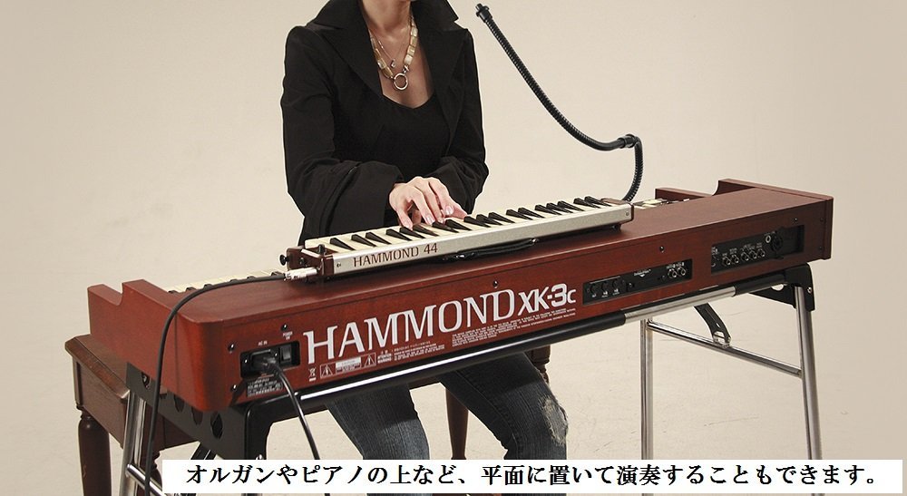 Hammond 44 Acoustic-Electric Melodion - Image 2