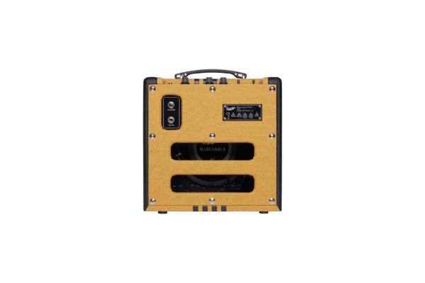 Supro 1818TB Delta King 8 Tweed/Black Amplifier - Image 4