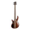 Cort Bass Artisan 5 string with Case/A5 Ultra Ash ENB - Image 8