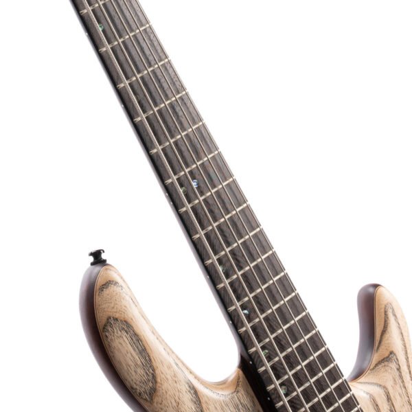 Cort Bass Artisan 5 string with Case/A5 Ultra Ash ENB - Image 6