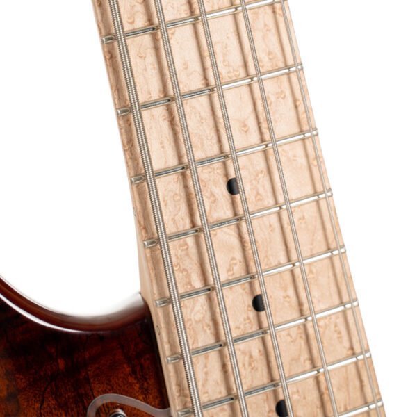 Cort Bass GB Fusion 5 string with bag Antique Burst /GB-Fusion 5 ABB - Image 2