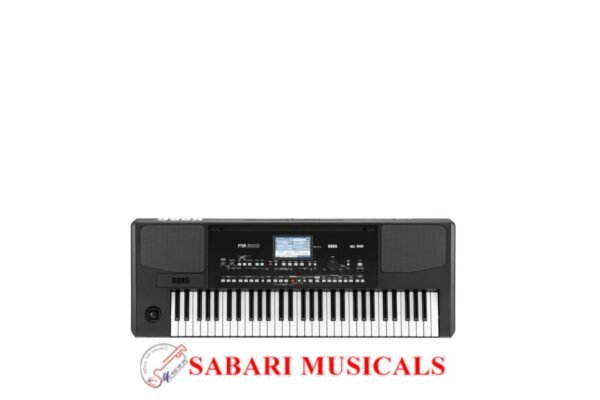 Korg, Arranger Keyboard Pa300