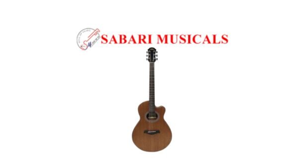 ARIA FET-M2	N	Acoustic Guitar