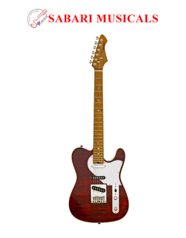 Aria 615-MK2	RBRD	Solid Body Electric Gtr.
