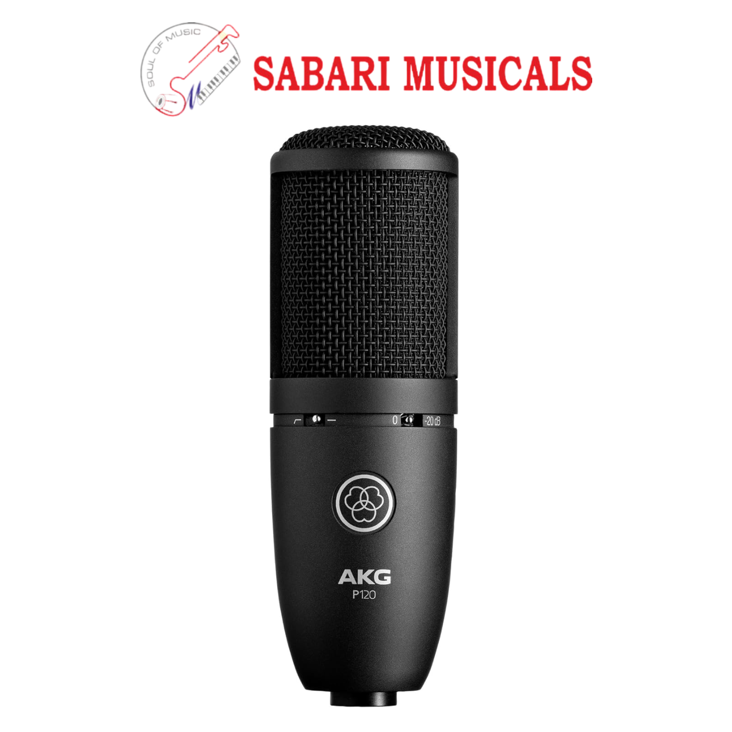 AKG P120 High-Performance General Purpose Recording Microphone