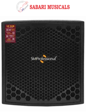 Studiomaster 10 SUB 500W Subwoofer