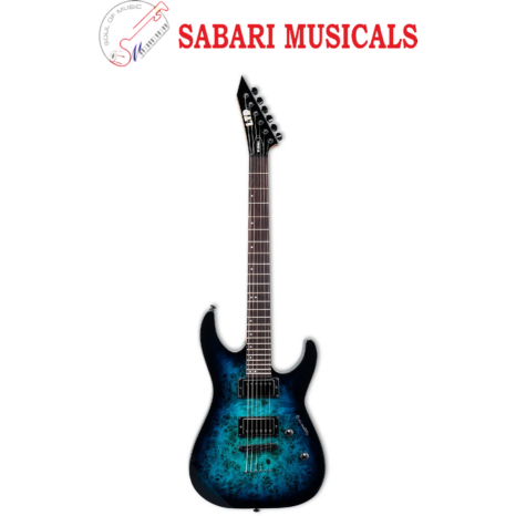 ESP LTD M-200DX 6 String Electric Guitar - Blue Burst