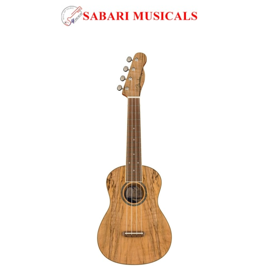 Fender Zuma Exotic Concert Ukulele 0970450594 - Natural Spalted Maple
