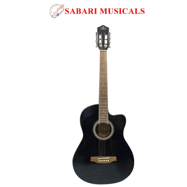 Pluto Acoustic Guitar 201 series Medium Cutaway with Equaliser PA39CE-201 BK