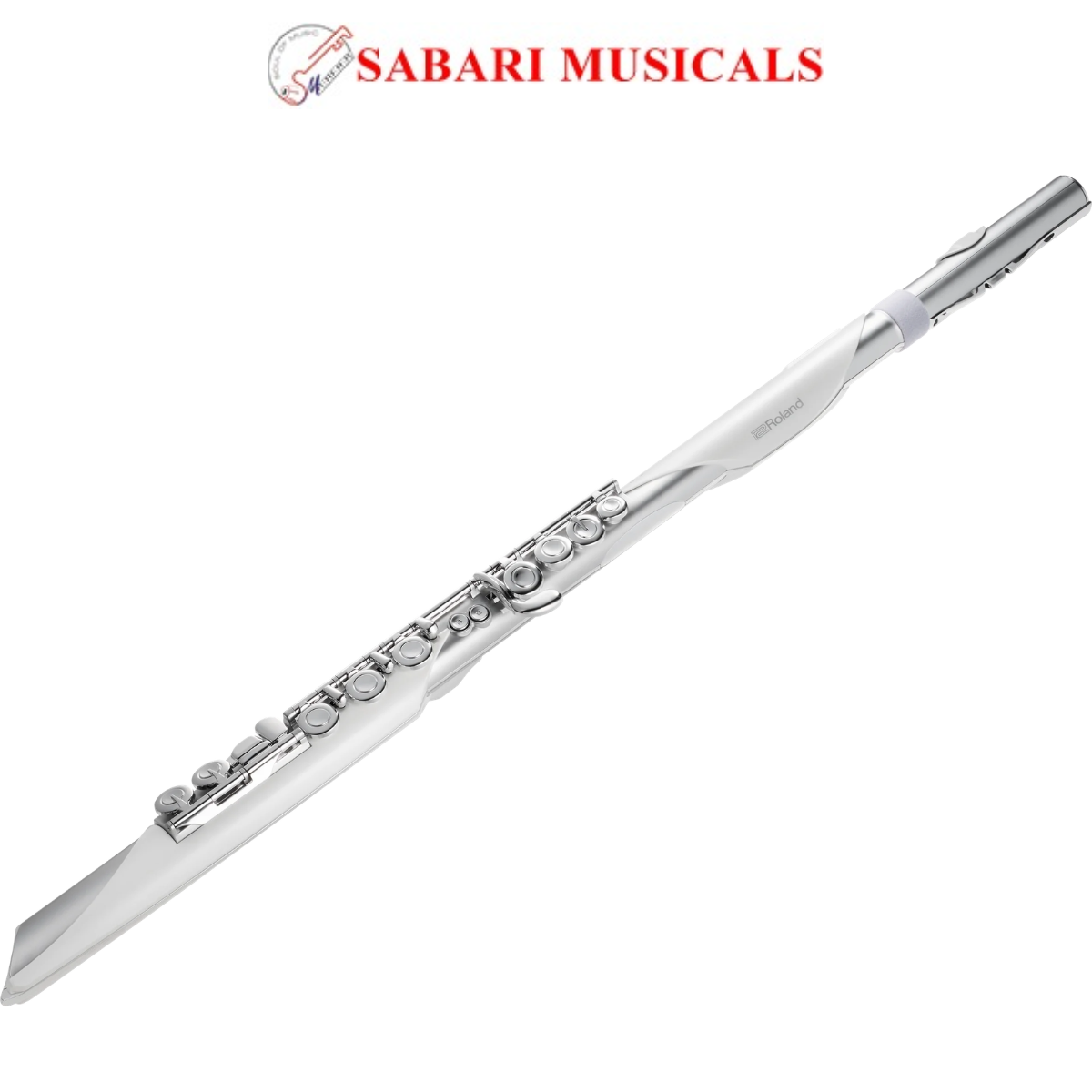 Roland Aerophone Brisa Digital Wind Instrument