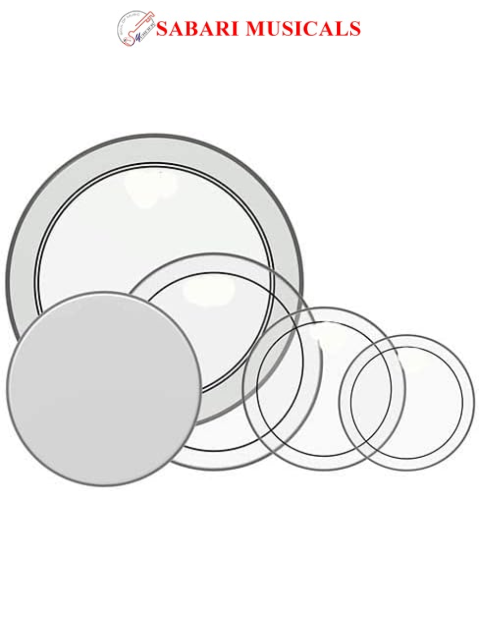 REMO Drumhead USA Pro Pack PP-2420-PS