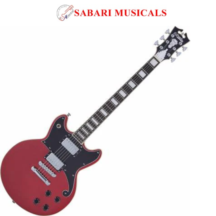 D'Angelico Electric Guitar Premier Brighton Oxblood DAPBRIOXBCS