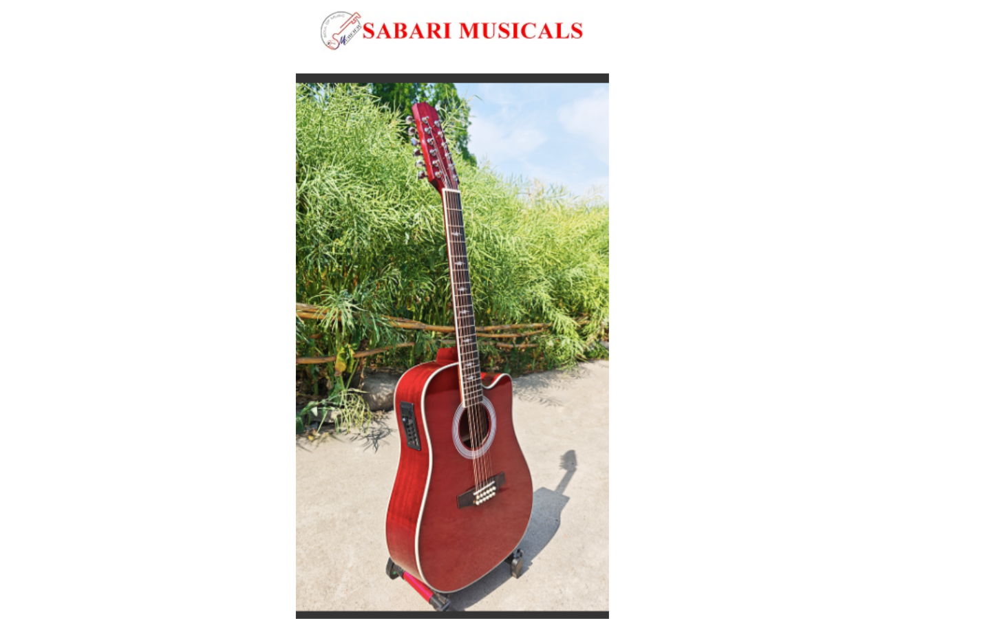 Aiersi ST-12 Custom Electric Guitar