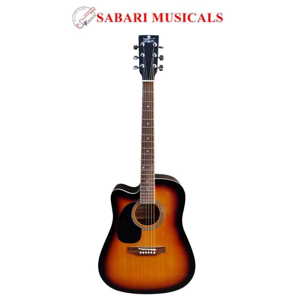 Pluto Acoustic Guitar 201 series Dreadnought Cutaway Left HW41CL-201 SB